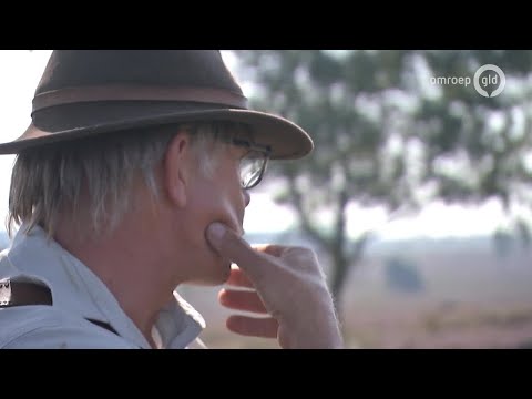 BuitenGewoon 9 september 2017 - Harm zwerft door Gelderland | Hoog Buurlo