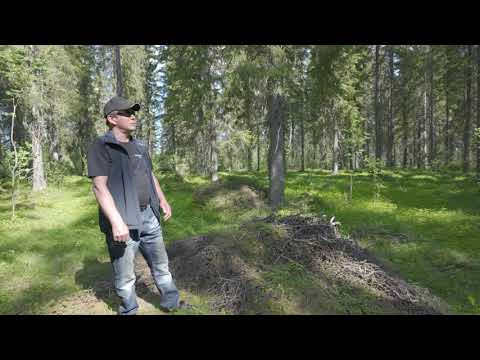 Virheistä voi oppia