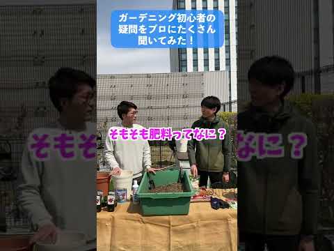 花を早く成長させるにはどうすればよいですか？植物の成長を促進するための庭師の 8 つの秘密  庭園
