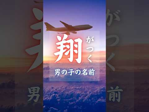 【翔がつく男の子の名前】　#shorts #名前 #命名 #名付け #女の子名前 #男の子名前 #赤ちゃんの名前 #ベビーネーム　【VOICEVOX:冥鳴ひまり】
