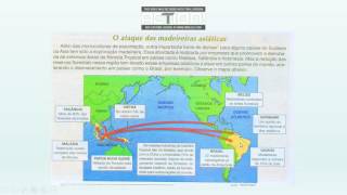 Quais São As Principais Causas De Desmatamento No Sudeste Asiático