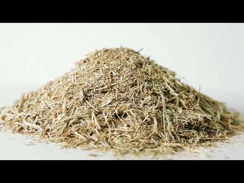   Золототысячник