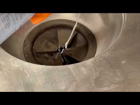 Treating the Drains for Drain Flies in South Plainfield, NJ