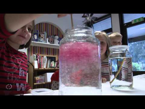 Platshållare för video