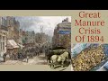 Victorian Great Horse Manure Crisis The Never Ending Horse Muck In London