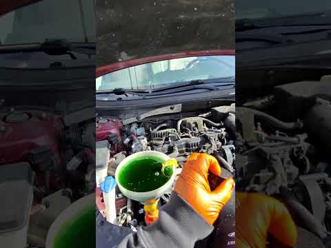 Hyundai Sonata Coolant Bleeding | 4K | Genuine Parts