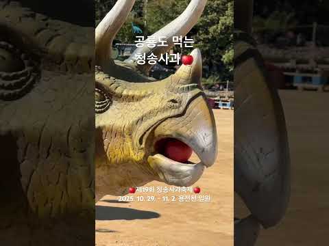 공룡도 먹는 청송사과