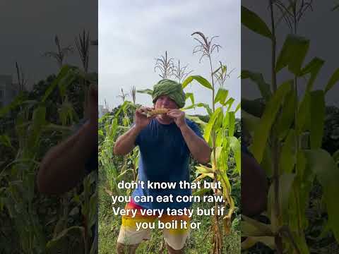 Krishnamckenzie 🌱 Inspires Change Through Community, Food, and Music
