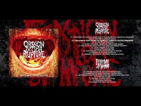 Capsaicin Stitch Rupture / First Days Of Humanity - split CD FULL ALBUM (2021 Goregrind)