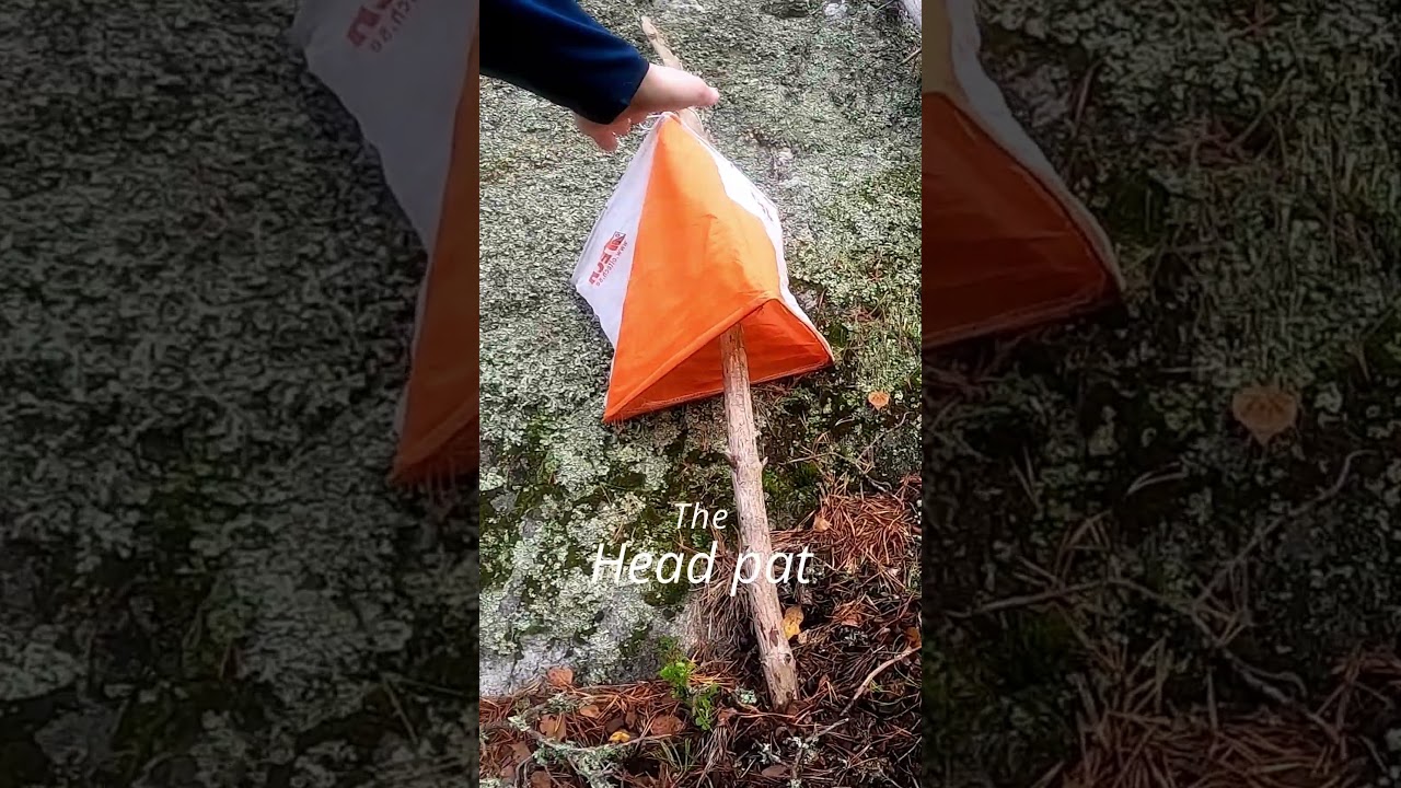 Orienteering PRO PUNCHING technique