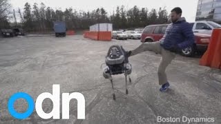 Watch robot dog &#39;Spot&#39; run, walk...and get kicked
