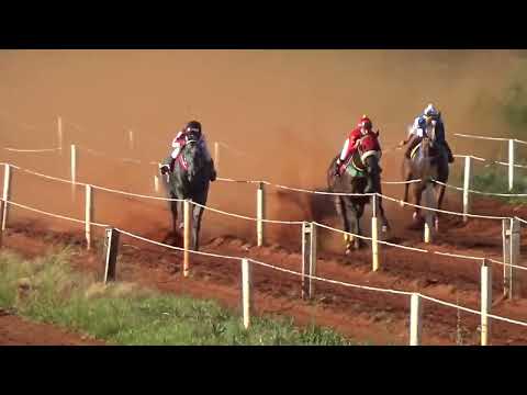 3 ELIMINATORIA - I GP TURFE PALMEIRENSE - 1 PROVA COPA OURO - 500M