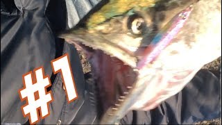 【釣り】二人で釣り納めに行ってきた2017 part01【アウトドア】
