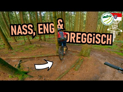 MICHELSTADT Mi-1 Runde: Singletrails im Odenwald mit viel Spaß! / Mountainbike MTB Enduro XC
