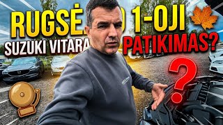#962 Kokie automobiliai atkeliavo į pardavimą Rugsėjo pirmąją..?