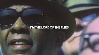 Bob Schneider - Lord Of the Flies (Official Lyric Video)