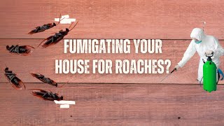 Fumigating Your House for Roaches? (Here