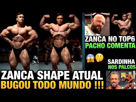 ZANCA ESTÁ ABSURDO, SHAPE ATUAL COMPLETO - PACHO ACREDITA EM TOP 6 + SARDINHA DE VOLTA AOS PALCOS
