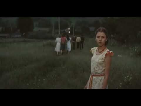 Мы жили по соседству (1982). Песня "Судьба ли это"