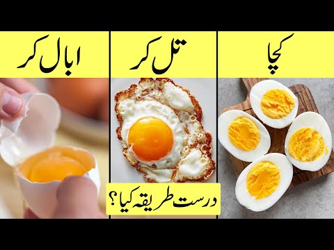Anda khane ka sahi tarika | Anda kaise khana chahiye full or half boiled ya fried