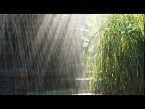 Jurate Miliauskaitė - O vasara, 2013