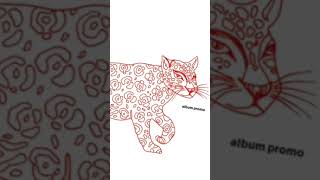 The Concretes - Say Something New #shorts