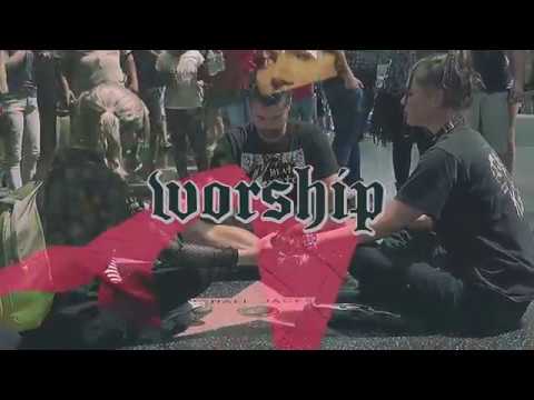 Wellness -  Fake Flowers (Official Video)