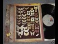 MAYFLY .SAME . LP ARIOLA .1973 