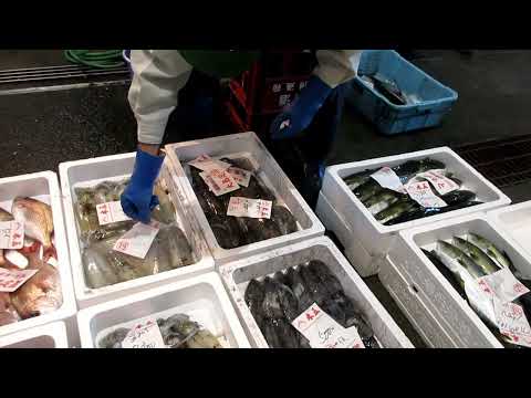 庭のどこに鶏小屋を置きますか？最適な場所を選択するための 5 つのヒント  庭園