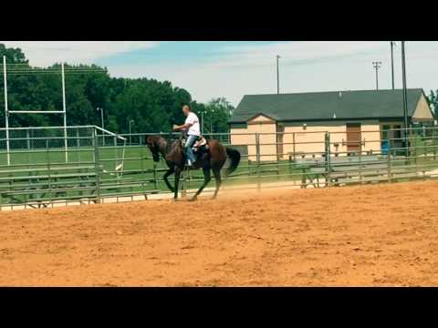 Runbridled 8.5.2017 - trails, rollbacks & making a run