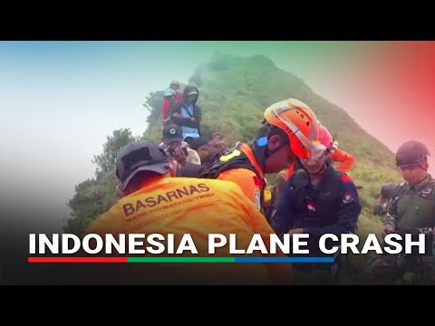 Indonesia finds wreckage of missing surveillance plane ...