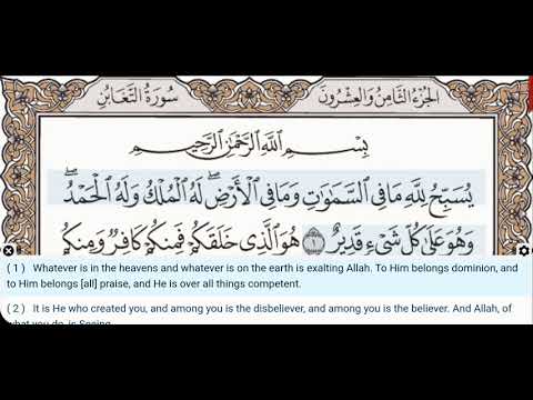 64 - Surah At Taghabun - Dr Ayman Suwayd - Teacher - Learn Quran Tajweed