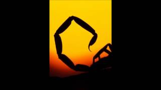 883 - La Rana E Lo Scorpione