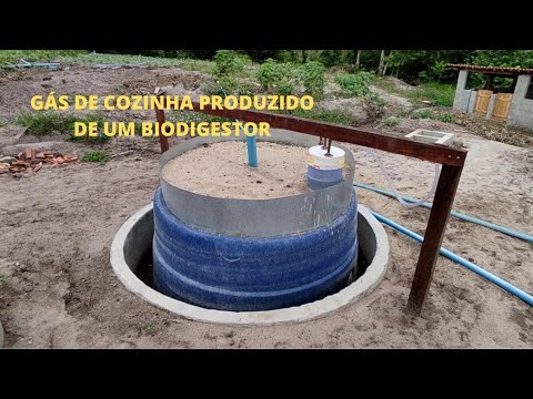 Agricultor produz gás de cozinha com um biodigestor