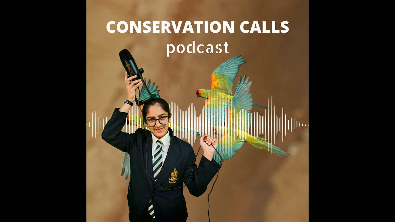Bolivian Bird Guardians: Protecting the Sky's Colorful Treasures!