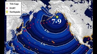 Alaska Quake 7.9 MAG - Tsunami Warning Cancelled - Deadly Mount Moto-Shirane Kusatsu