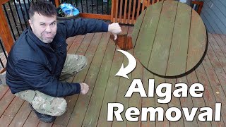 How To Remove Green Algae from Deck
