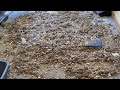 3 Rug Mess Test Super Sloppy Vacuuming Vacuum Test Genius Ideas