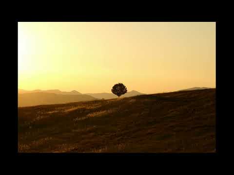 Alan Watts - Gnosticism and the Supreme Reality