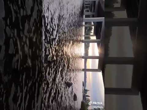 East Channels #Relaxing #Washington #Seattle #Waves #Bellevue #Futurebass #Vibe #Beach #Videoloop #A