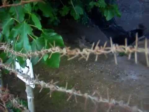 La grotte des  pigeons à Tafoghalt ou le premier homme moderne à vécu