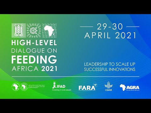 Frontier Africa Reports