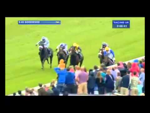 KODI BEAR - 29 AUG '15