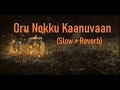 Oru Nokku Kaanuvan Slow And Reverbed Version Sunday Holiday