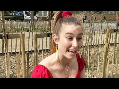 Menstrual Cup - The best thing to happen to my period