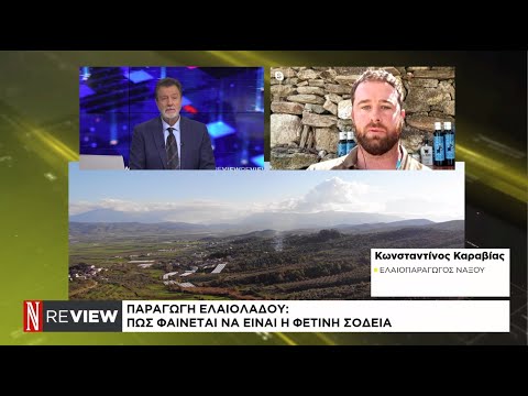 Ελαιόλαδο: Οι εκτιμήσεις για τη φετινή σοδειά