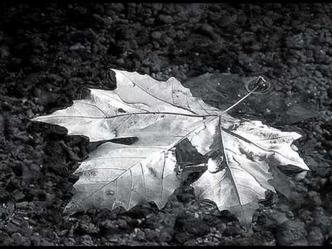 Thumbnail for Willie P Bennett : One Vessel by R.E.M., Fred Eaglesmith, Songwriter