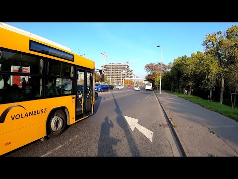 Rendes buszsofőr