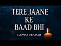 Tere Jaane Ke Baad Bhi Emotional Shayari Song SurNova Originals Heart Touching Hindi Song