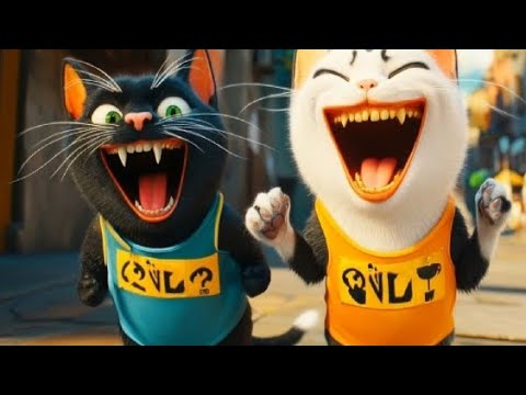 Sick Cat’s Comeback Race🐱🐾♥️